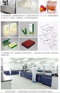 代餐粉加工 從原料到成品的技術與市場解析